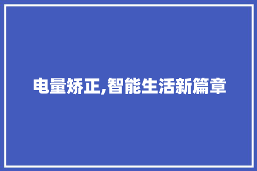 电量矫正,智能生活新篇章