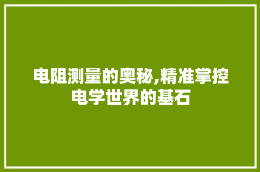 电阻测量的奥秘,精准掌控电学世界的基石