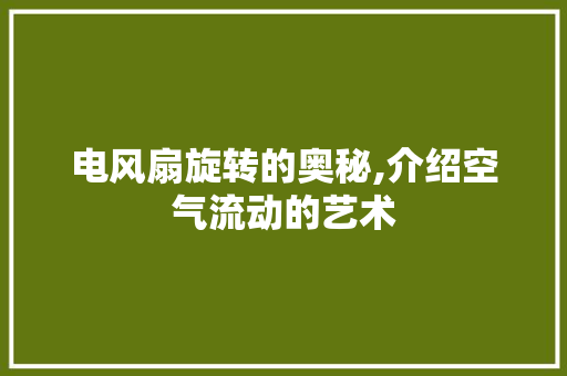 电风扇旋转的奥秘,介绍空气流动的艺术 服务器/数据库