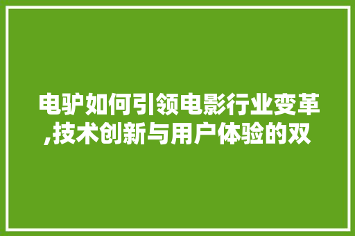 电驴如何引领电影行业变革,技术创新与用户体验的双重突破