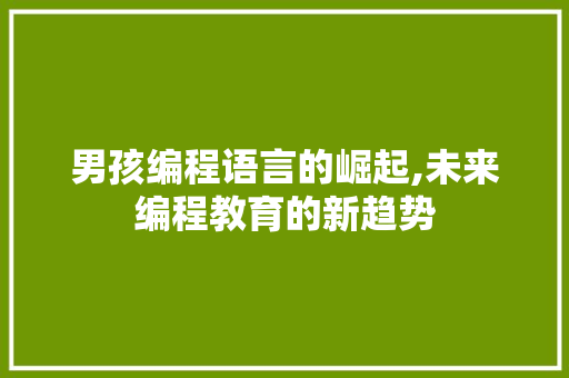 男孩编程语言的崛起,未来编程教育的新趋势