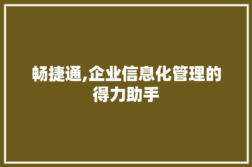 畅捷通,企业信息化管理的得力助手