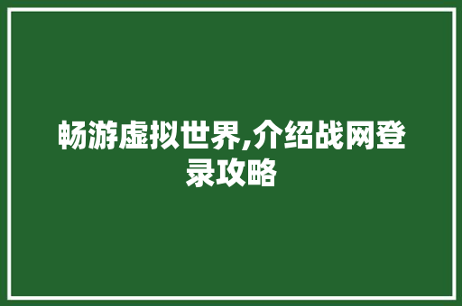 畅游虚拟世界,介绍战网登录攻略