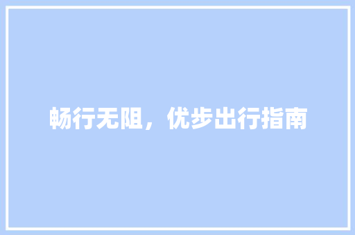 畅行无阻，优步出行指南