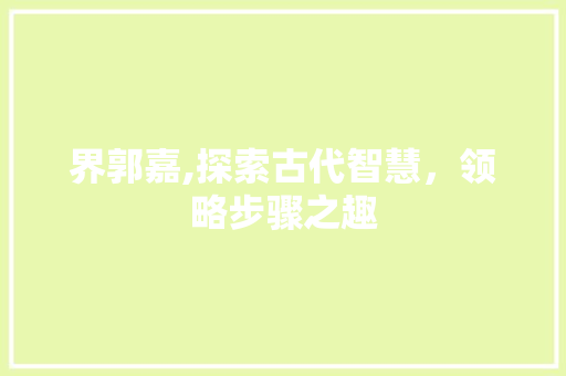 界郭嘉,探索古代智慧，领略步骤之趣 SEO教程
