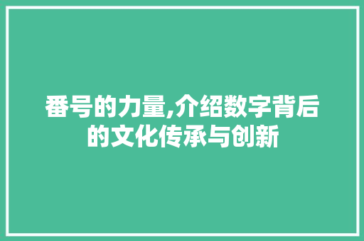 番号的力量,介绍数字背后的文化传承与创新