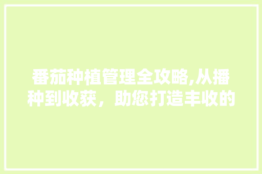 番茄种植管理全攻略,从播种到收获，助您打造丰收的田园