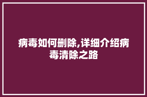 病毒如何删除,详细介绍病毒清除之路 建站教程