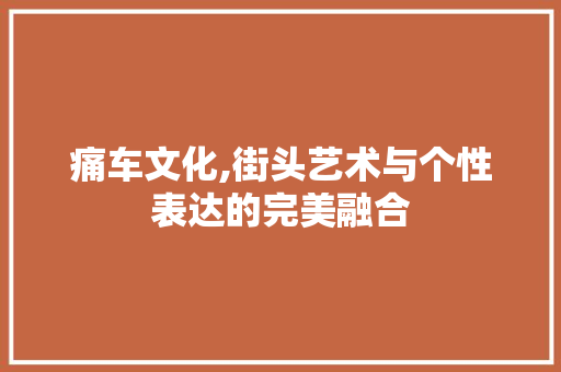 痛车文化,街头艺术与个性表达的完美融合