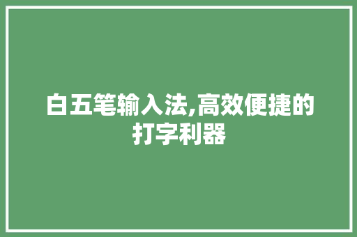 白五笔输入法,高效便捷的打字利器
