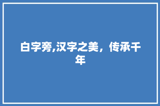 白字旁,汉字之美，传承千年 SEO教程