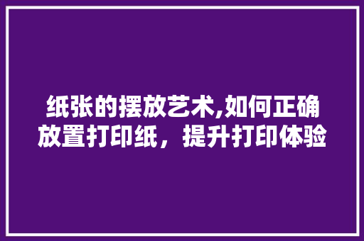 纸张的摆放艺术,如何正确放置打印纸，提升打印体验