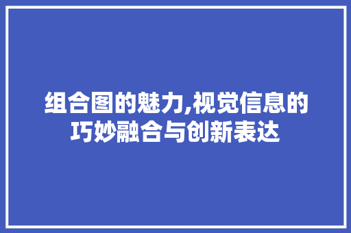 组合图的魅力,视觉信息的巧妙融合与创新表达