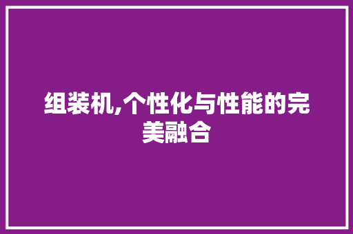 组装机,个性化与性能的完美融合
