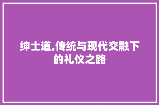 绅士道,传统与现代交融下的礼仪之路