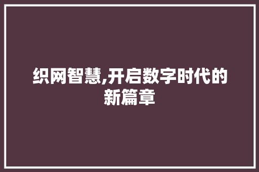 织网智慧,开启数字时代的新篇章