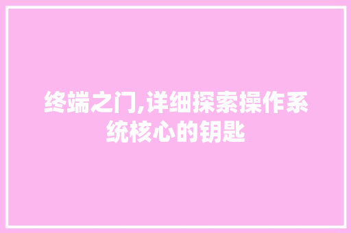 终端之门,详细探索操作系统核心的钥匙 SEO教程