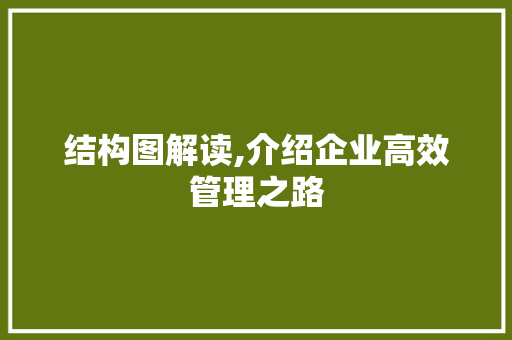 结构图解读,介绍企业高效管理之路