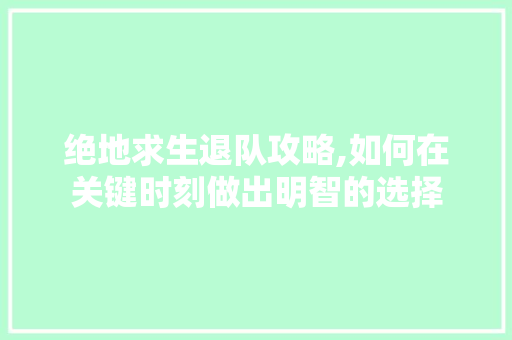 绝地求生退队攻略,如何在关键时刻做出明智的选择