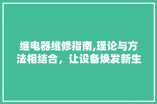 继电器维修指南,理论与方法相结合，让设备焕发新生