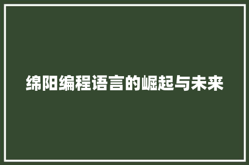 绵阳编程语言的崛起与未来