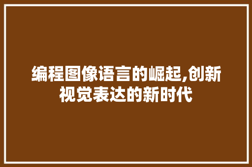 编程图像语言的崛起,创新视觉表达的新时代