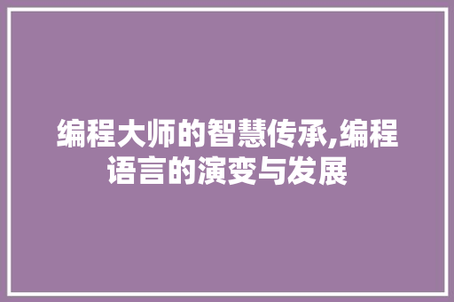 编程大师的智慧传承,编程语言的演变与发展