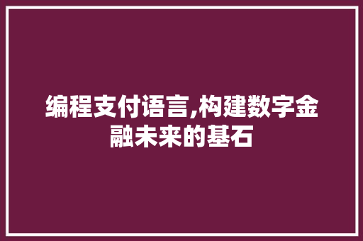 编程支付语言,构建数字金融未来的基石