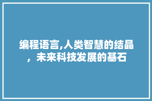 编程语言,人类智慧的结晶，未来科技发展的基石