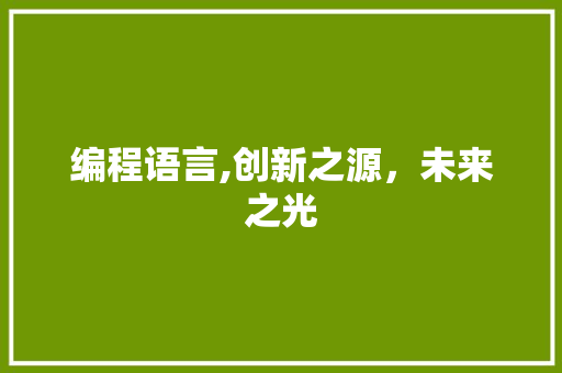 编程语言,创新之源，未来之光