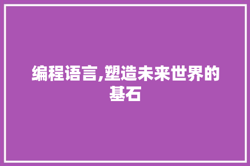 编程语言,塑造未来世界的基石