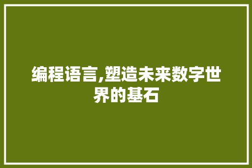 编程语言,塑造未来数字世界的基石 Web前端