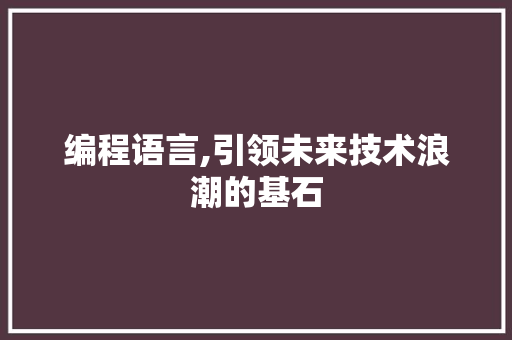 编程语言,引领未来技术浪潮的基石