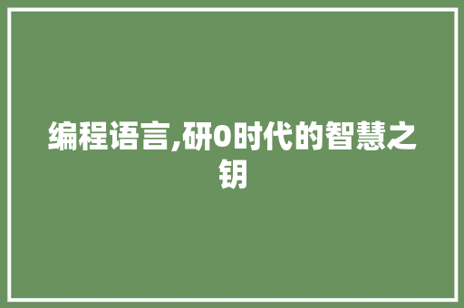编程语言,研0时代的智慧之钥