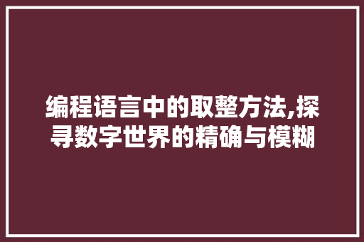 编程语言中的取整方法,探寻数字世界的精确与模糊 SEO教程