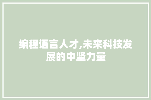 编程语言人才,未来科技发展的中坚力量