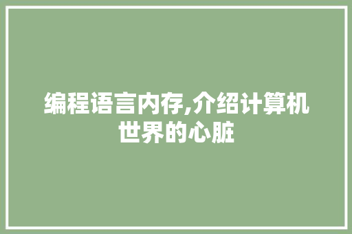 编程语言内存,介绍计算机世界的心脏