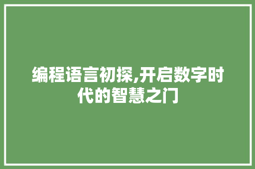 编程语言初探,开启数字时代的智慧之门 服务器/数据库
