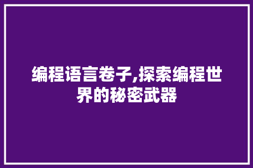 编程语言卷子,探索编程世界的秘密武器