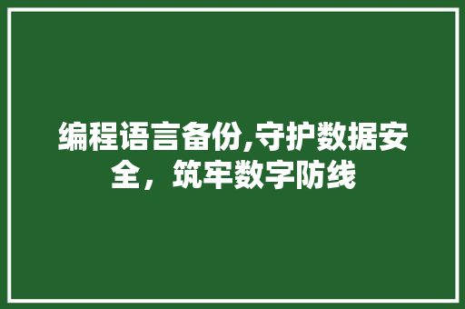编程语言备份,守护数据安全，筑牢数字防线