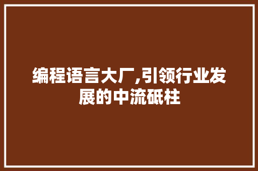 编程语言大厂,引领行业发展的中流砥柱