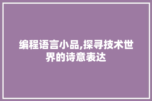 编程语言小品,探寻技术世界的诗意表达