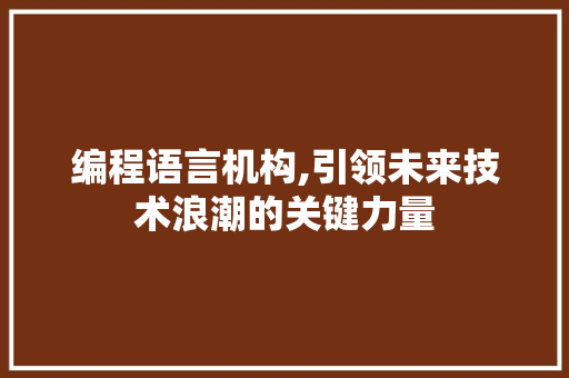 编程语言机构,引领未来技术浪潮的关键力量 SEO教程