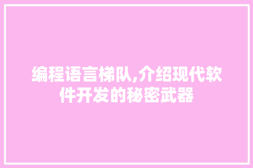 编程语言梯队,介绍现代软件开发的秘密武器