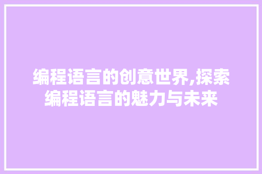 编程语言的创意世界,探索编程语言的魅力与未来