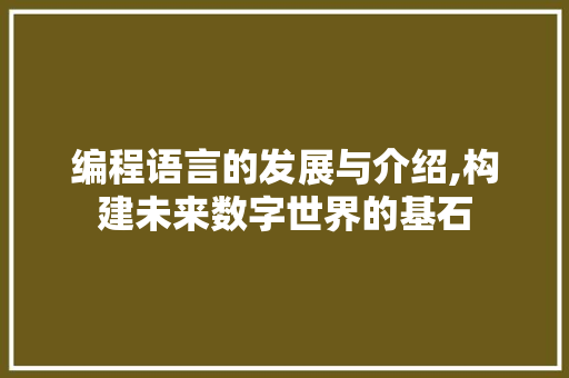 编程语言的发展与介绍,构建未来数字世界的基石