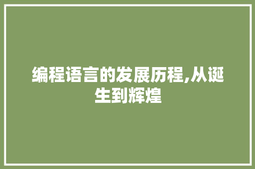 编程语言的发展历程,从诞生到辉煌