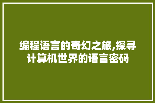 编程语言的奇幻之旅,探寻计算机世界的语言密码