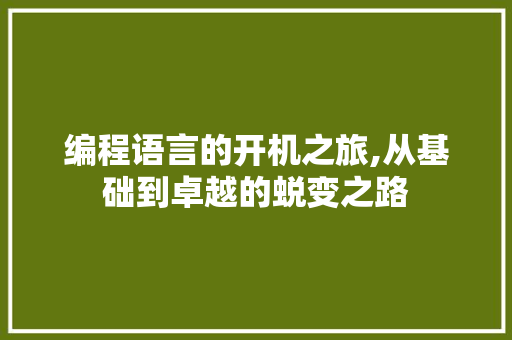编程语言的开机之旅,从基础到卓越的蜕变之路