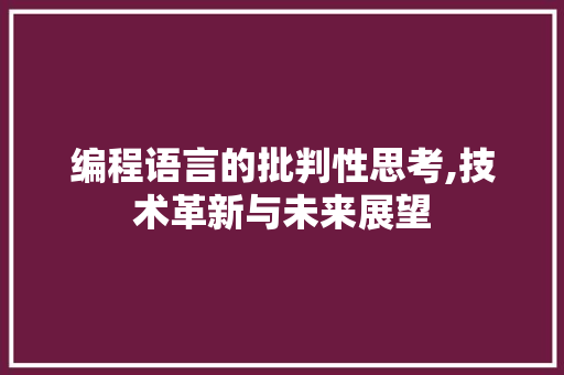 编程语言的批判性思考,技术革新与未来展望
